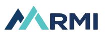 Rocky Mountain Institute (RMI)