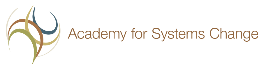 Academy for Systemic Change