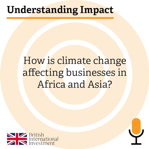 Understanding Impact: How is climate change affecting businesses in Africa and Asia?